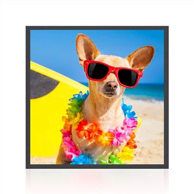 22inch kare Kalite LCD IPS ekran ki monitè kè bebe Digital Signage pou ekspozisyon foto